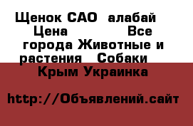 Щенок САО (алабай) › Цена ­ 10 000 - Все города Животные и растения » Собаки   . Крым,Украинка